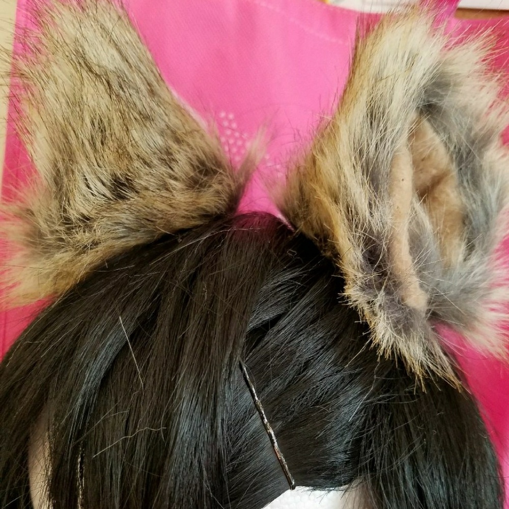 Ears